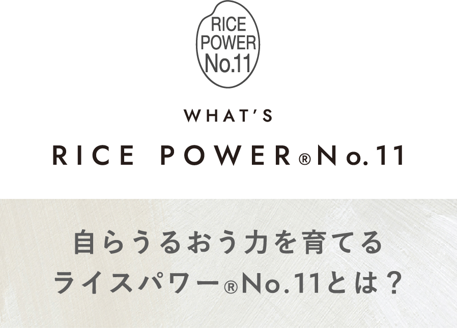 WHAT’S RICE POWER®No.11 自らうるおう力を育てるライスパワー®No.11とは？